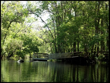 kayaking the Ichtucknee 044