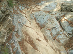 DSCF3635.jpg