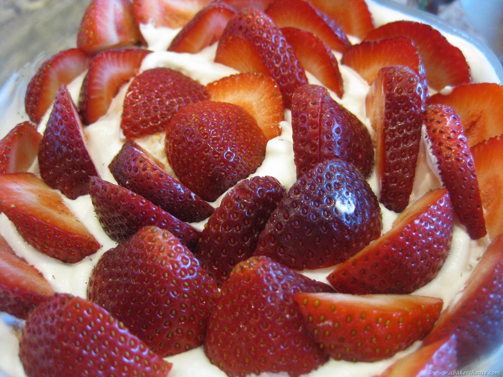 [berry%2520layer%2520in%2520trifle%255B7%255D.jpg]