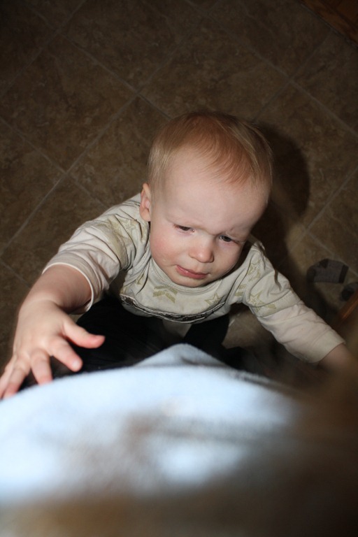 [IMG_3828%255B5%255D.jpg]