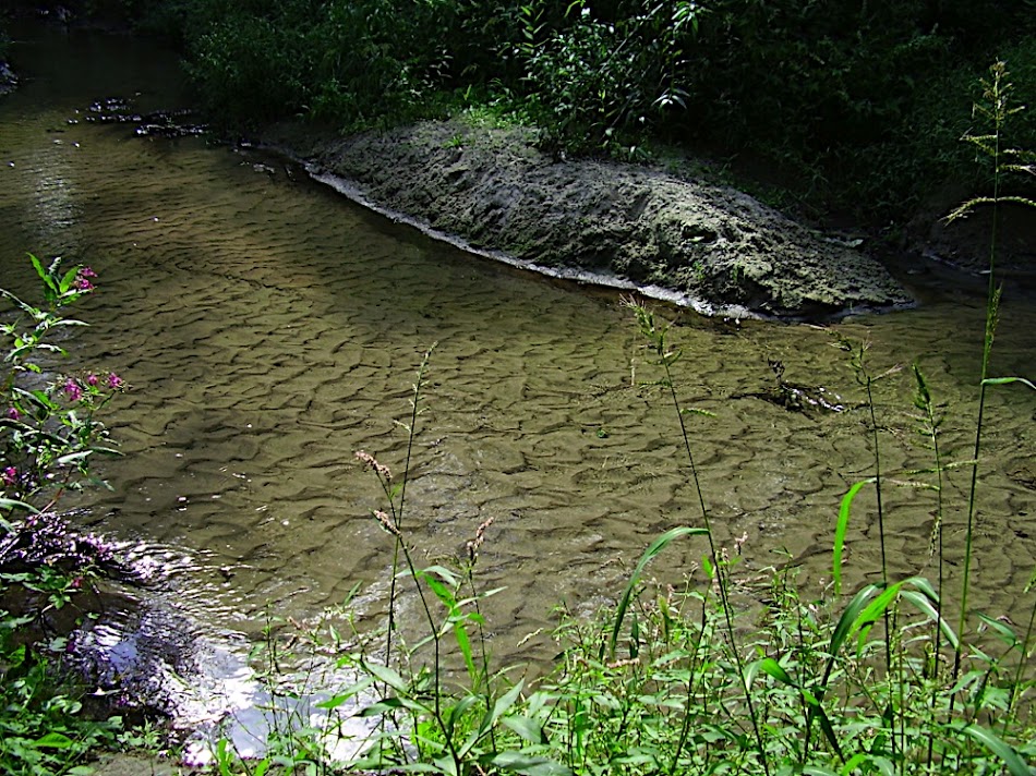P8260276.JPG