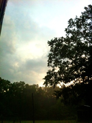 afterrain afterrain