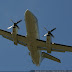 DSC08778.JPG