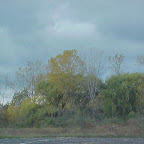 MVC-001F.JPG