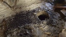 100_2805.JPG
