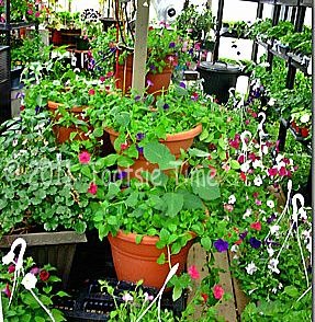 [BeFunky_002_thumb%255B17%255D.jpg%255B5%255D.jpg]