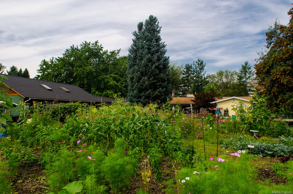 [Friends%2520revisited%2520%252820%2520of%252095%2529%255B2%255D.jpg]