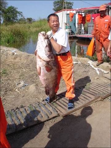 [big-fish-fishing-2%255B2%255D.jpg]
