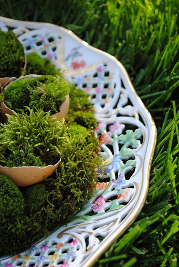 [Easter%2520Moss%25206%255B7%255D.jpg]