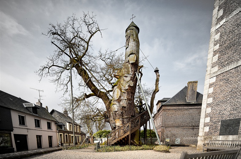 beautiful-oak-chapel-6 beautiful-oak-chapel-6