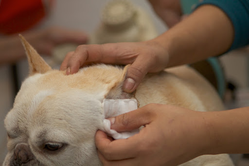 And that ear cleaner stuff!