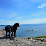Acadia 2011