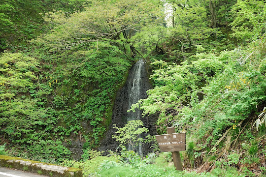 布滝