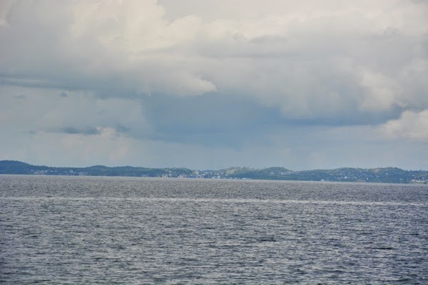 DSC_3792.JPG DSC 3792