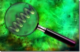 Spirulina / Спирулина Spirulina / Спирулина