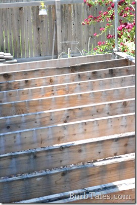 Rotten joists. Pretty! Rotten joists. Pretty!