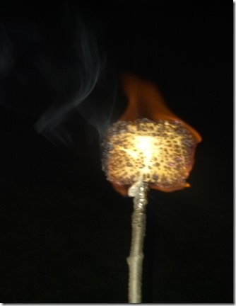 marshmallow on fire
