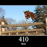 410.jpg 410.jpg