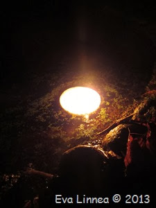 IMG_8556 IMG_8556