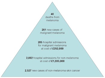 Risk Pyramid for Skin Cancer (based on 2008 data).JPG