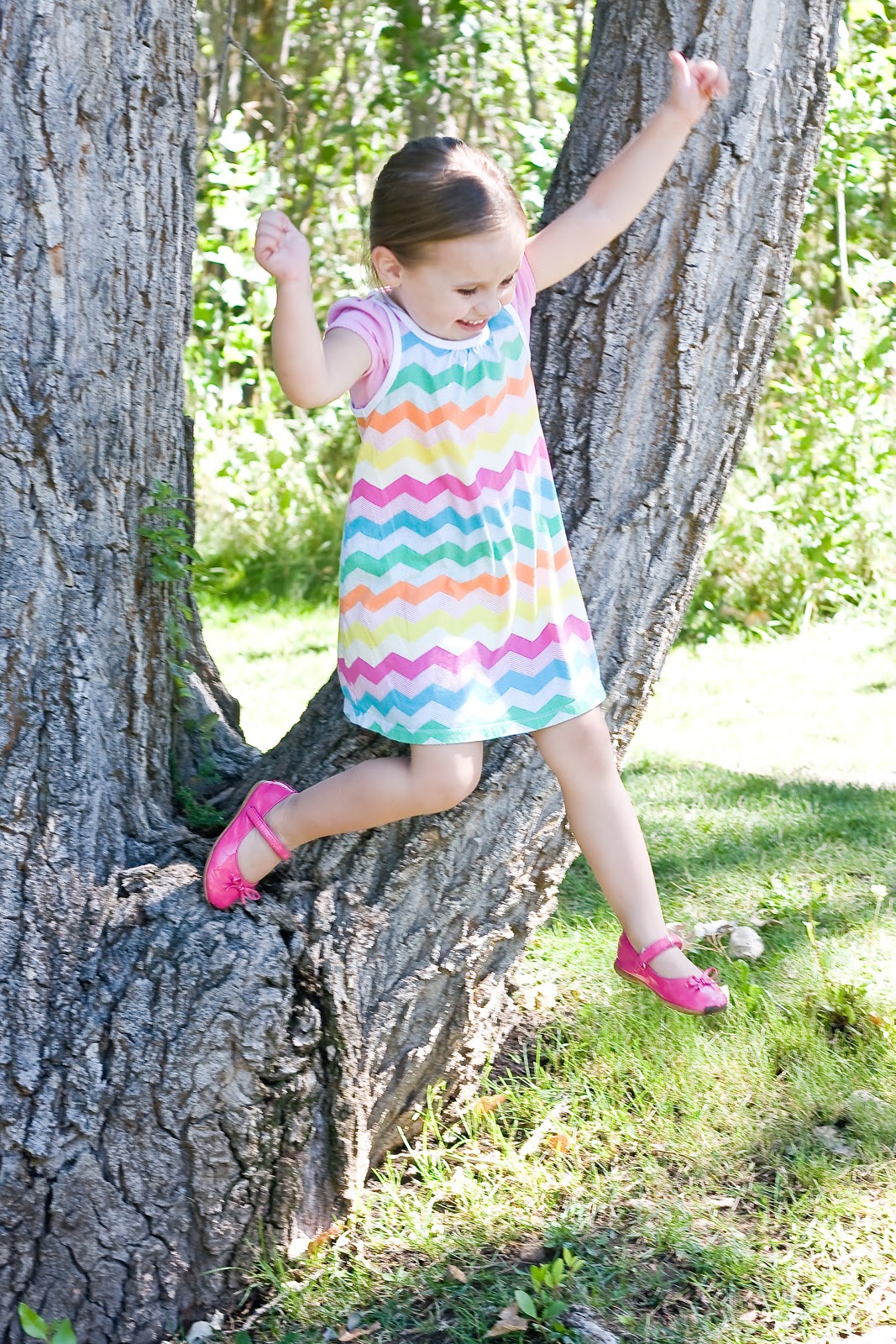 [quincy%2520reunion%25209.4.2012%2520-%2520tess%2520tree%2520jump%255B7%255D.jpg]