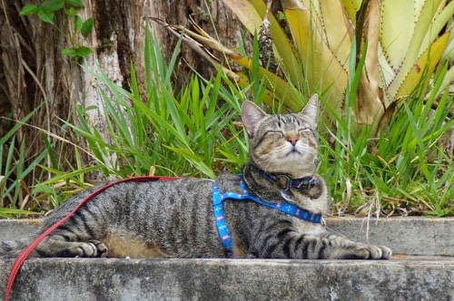 [Fredy%2520relaxando%255B3%255D.jpg]