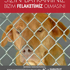 irfanyuksel2.jpg