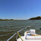 IMG_3050.JPG