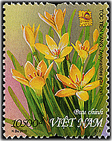 [image19.png]