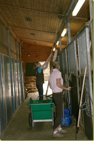 IMG_2125 IMG_2125