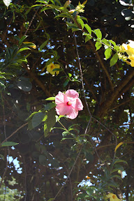 DSC_0312.jpg