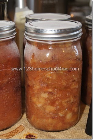 perfectly preserved homemade applesauce perfectly preserved homemade applesauce