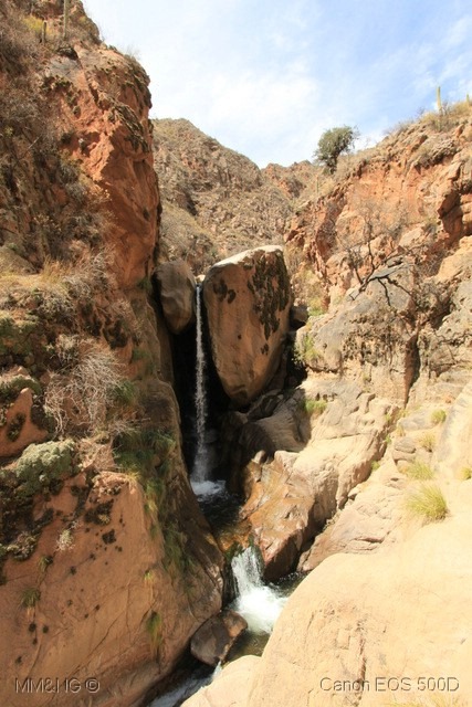 [IMG_9940%255B4%255D.jpg]