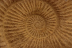 Marruecos_067.JPG