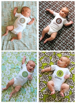 Nora Collage weeks 5 thru 8