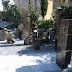 R0028081.JPG