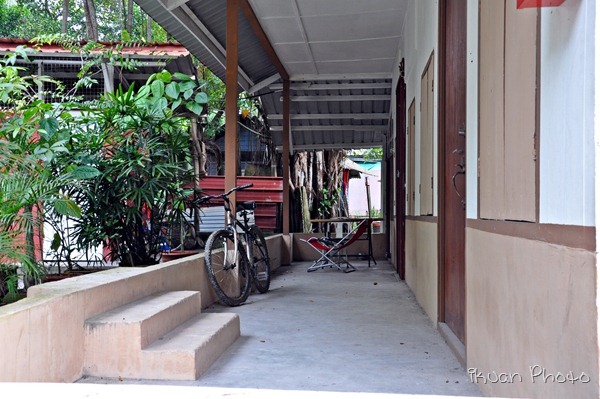 DSC_0041 DSC_0041