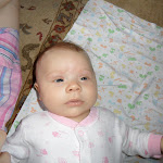SAM_0661.JPG