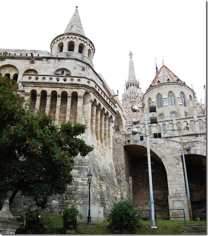 DSC_6941 DSC_6941