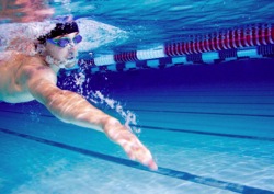 Swimmer