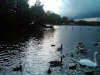 Hyde Park
