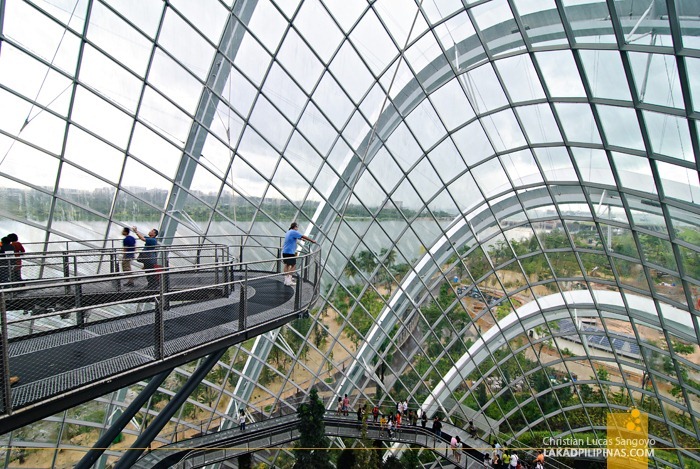 Above the Cloud Forest at Gardens by the Bay