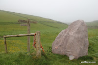 IMG_9308.JPG Photo