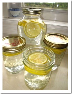 20120910_lemon-water_001