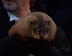 Groundhog Day