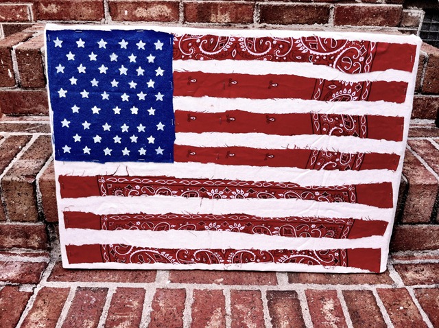 [fabric%2520flags%25202%255B3%255D.jpg]