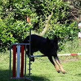 IMG_5112.JPG