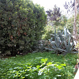 למכירה דירה ברחביה - ירושלים