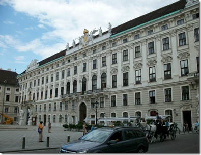 IMG_1695 IMG_1695