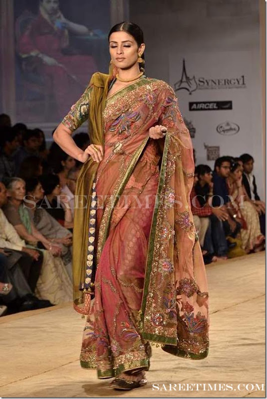 Maroon_Designer_Embroidery_Saree_Ashima_Leena